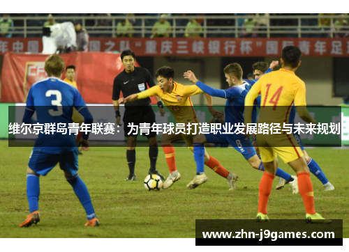 维尔京群岛青年联赛:为青年球员打造职业发展路径与未来规划 维尔京群岛青年联赛:为青年球员打造职业发展路径与未来规划
