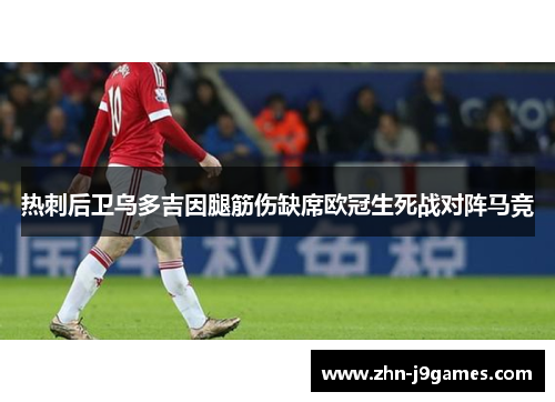 热刺后卫乌多吉因腿筋伤缺席欧冠生死战对阵马竞