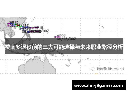 费南多退役前的三大可能选择与未来职业路径分析