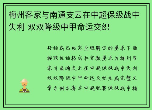 梅州客家与南通支云在中超保级战中失利 双双降级中甲命运交织